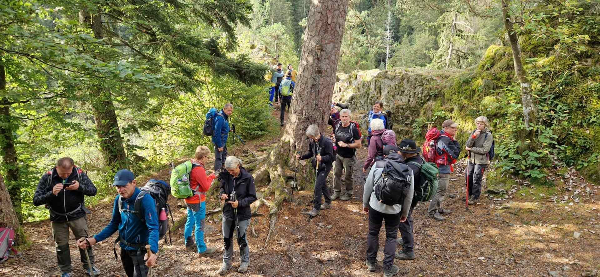	14 3 Tage auf dem Schluchtensteig im Südschwarzwald